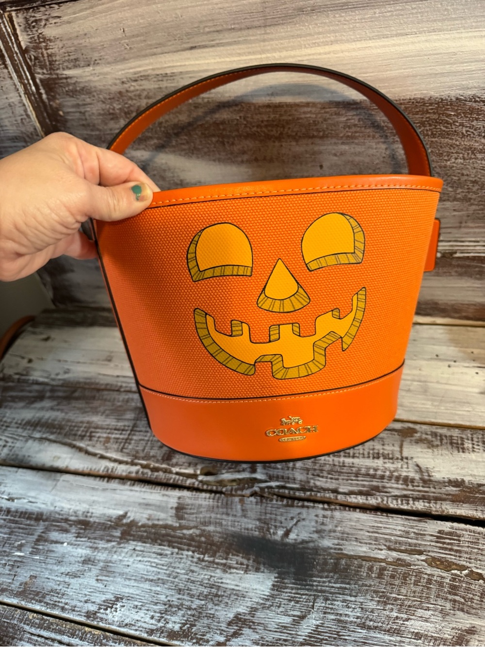 Coach Orange Halloween Jack-O'-Lantern Bucket Bag with Pumpkin Coin Pouch - Picture 6 of 16
